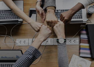 라이온플러스 이미지